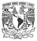 Logo UNAM — cliente Renovapack