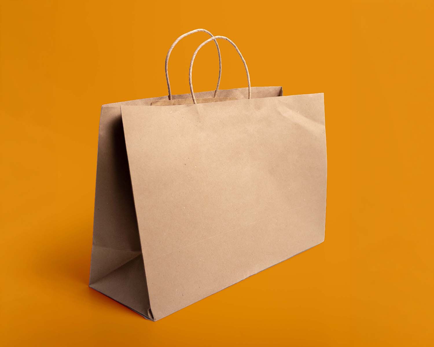 Bolsa Biodegradable Kraft con Asa 20