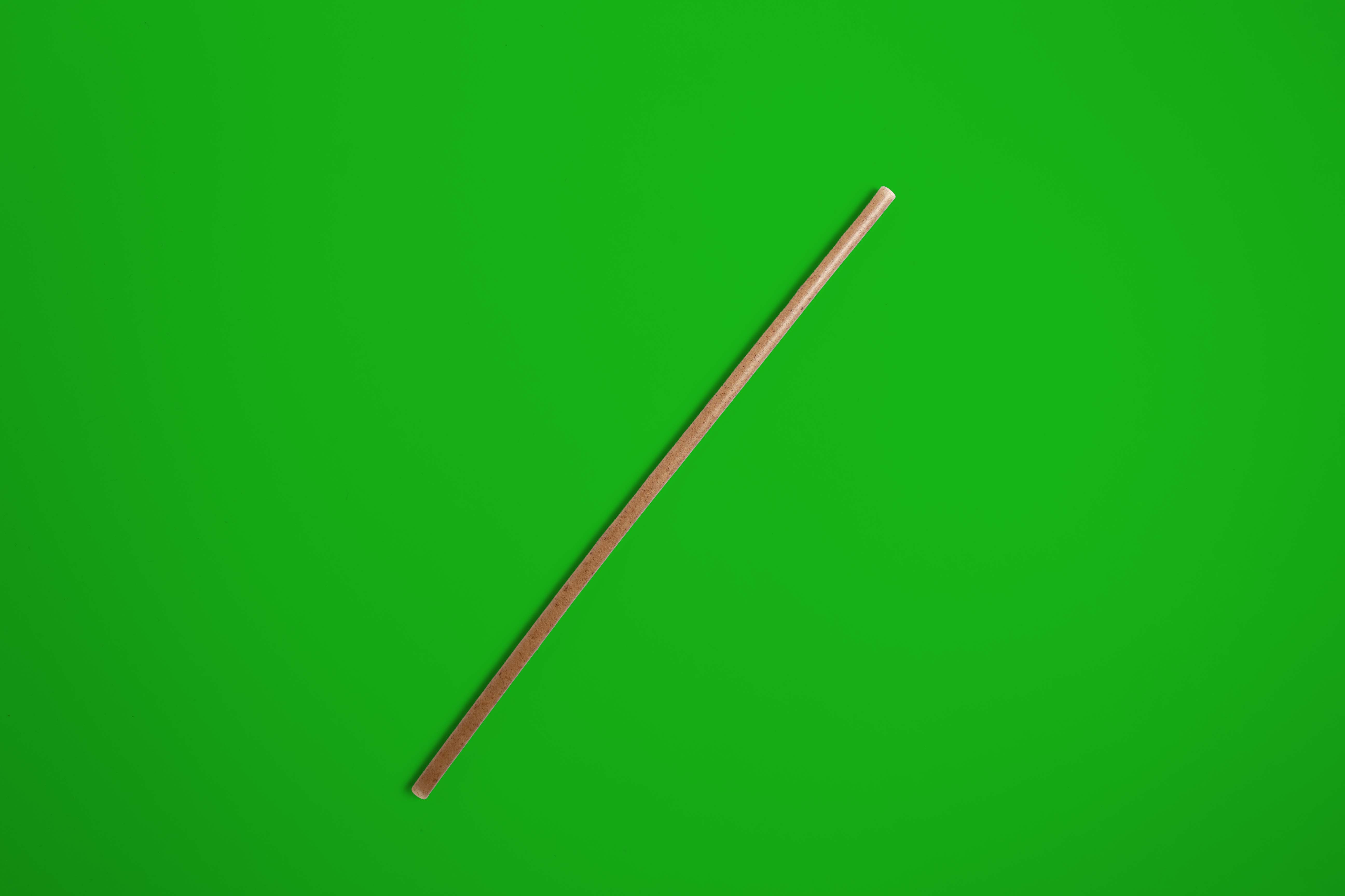 Popote Biodegradable Sin Estuchar de Agave 26cm