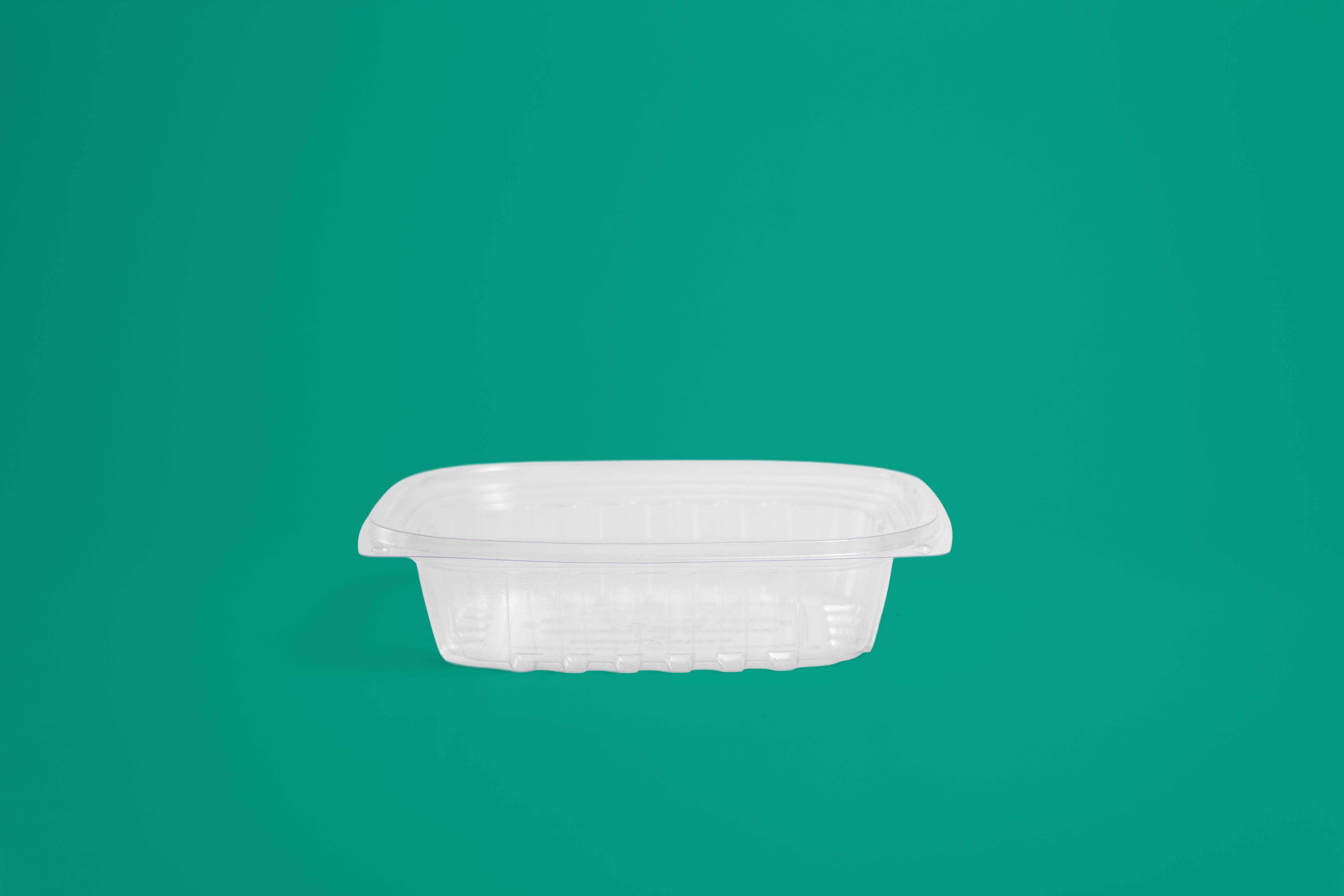 Deli Rectangular 8oz Biodegradable