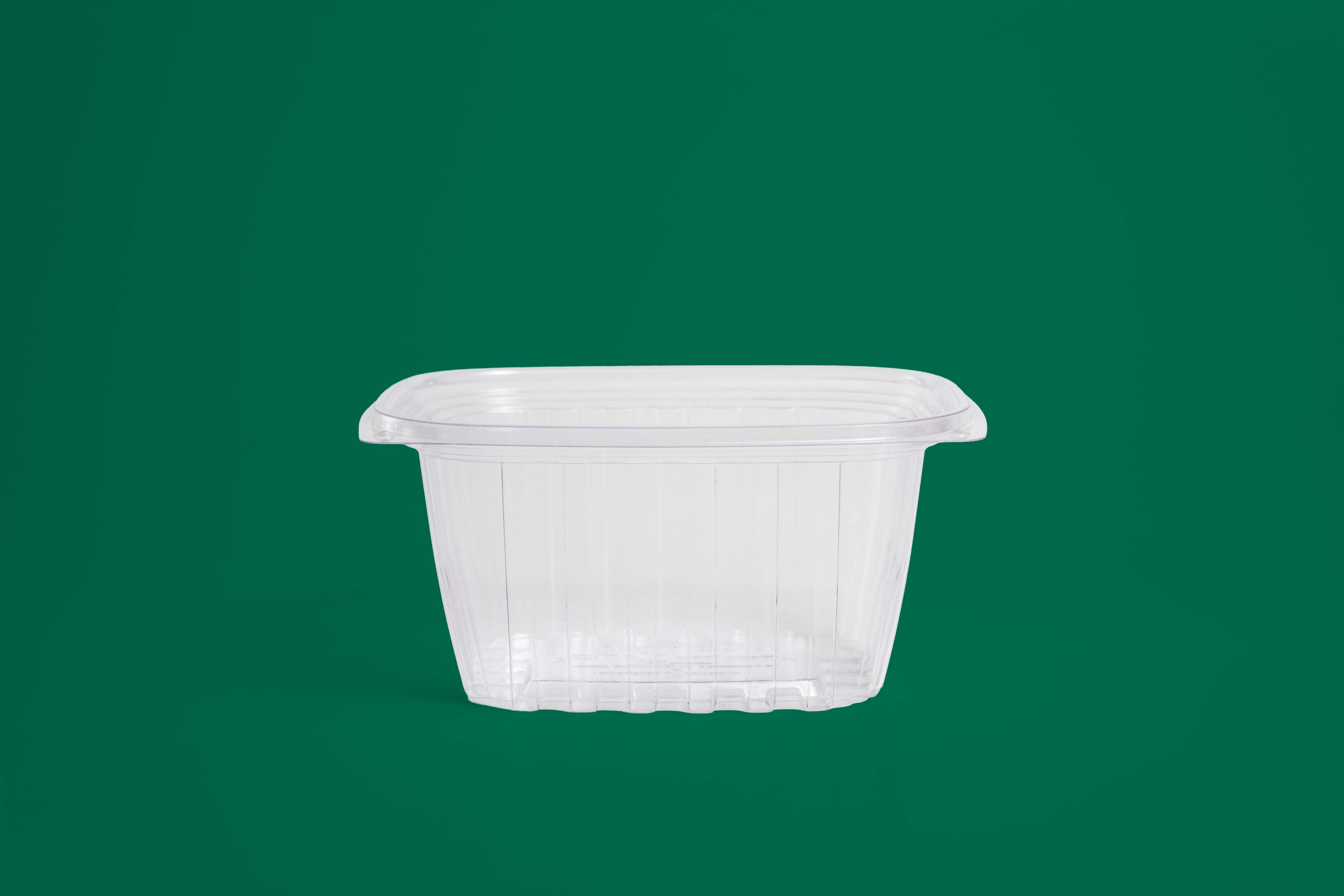 Contenedor Deli Rectangular de 16 oz Biodegradable