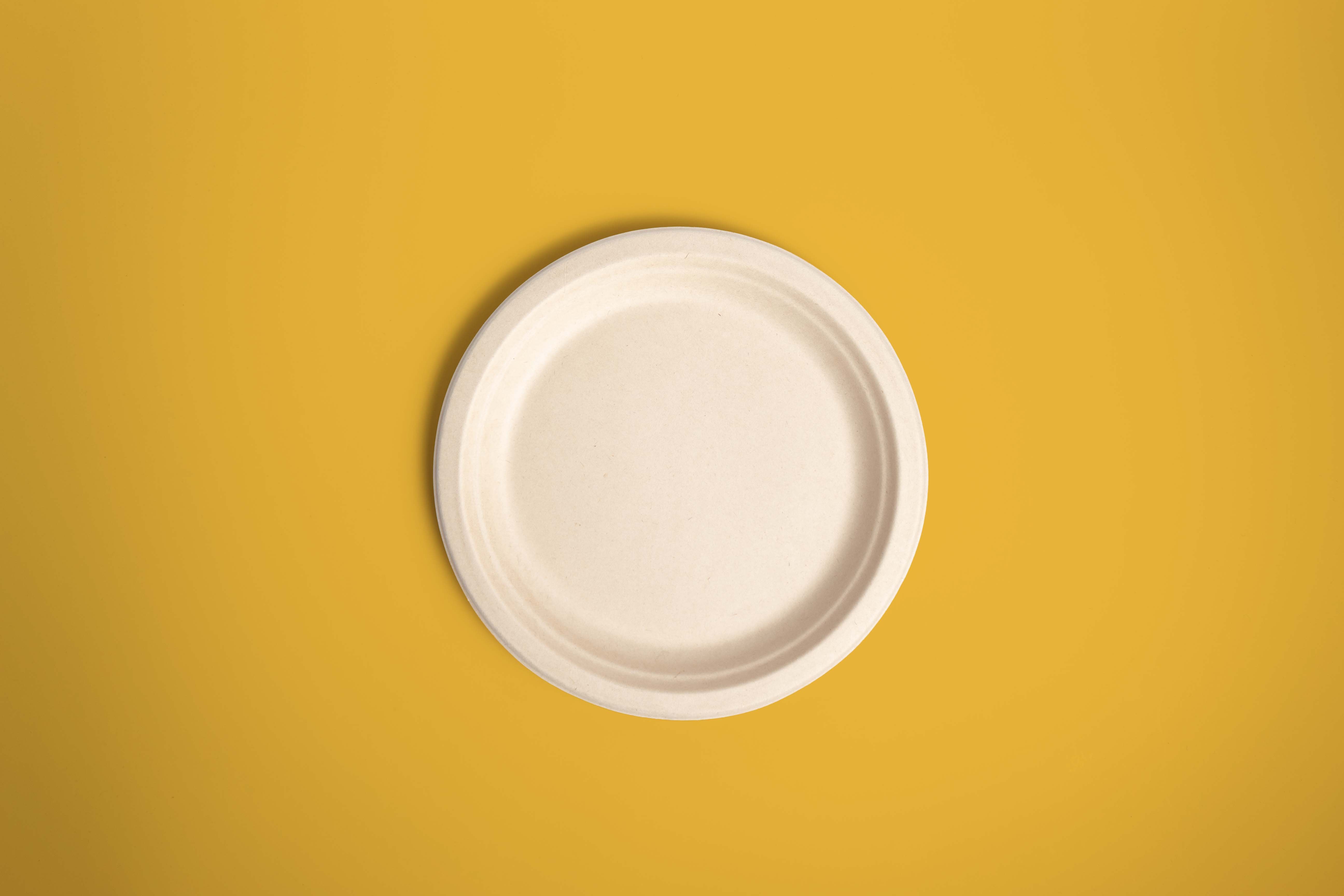Plato Desechable Biodegradable 9"