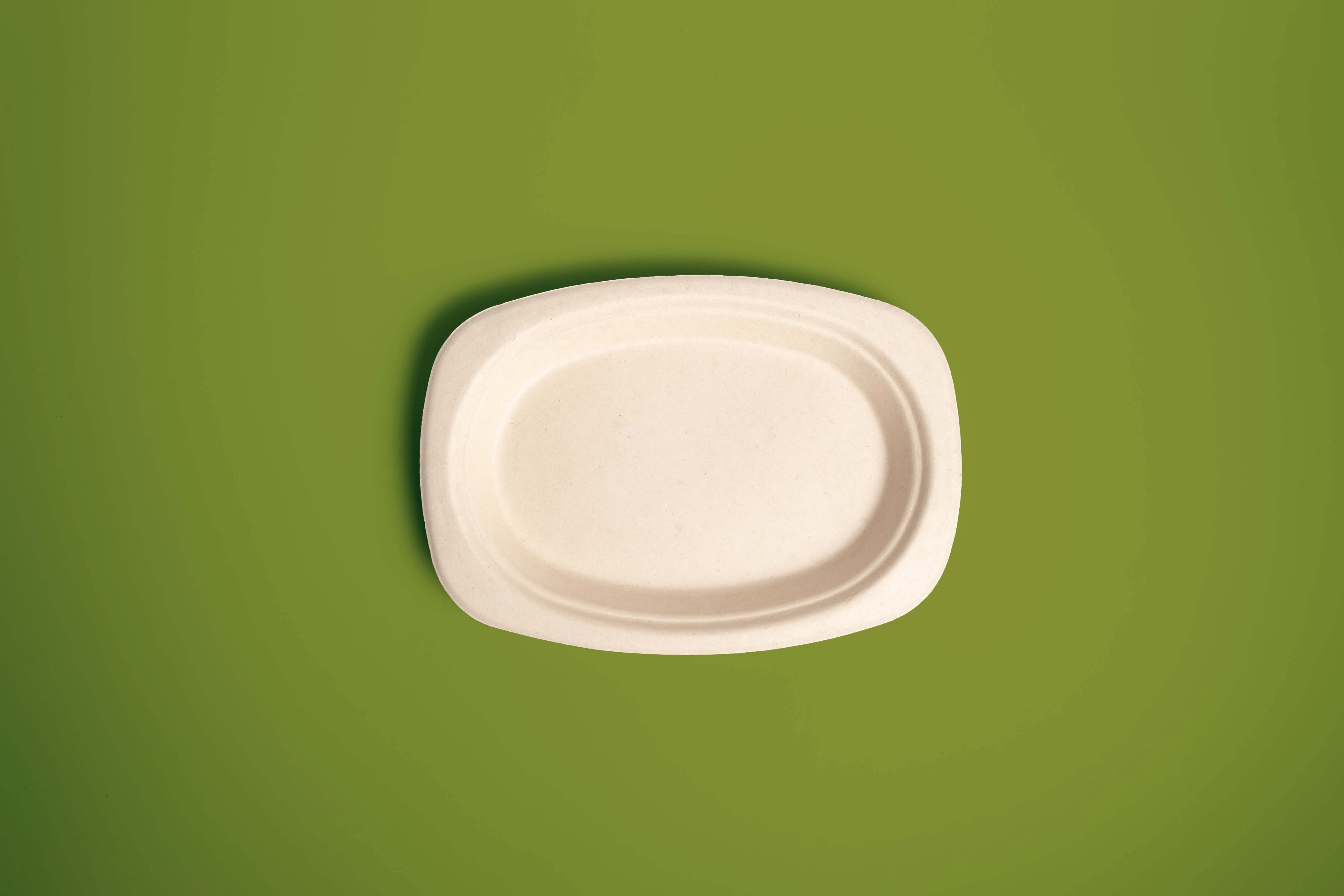 Plato Desechable Biodegradable Ovalado 9"