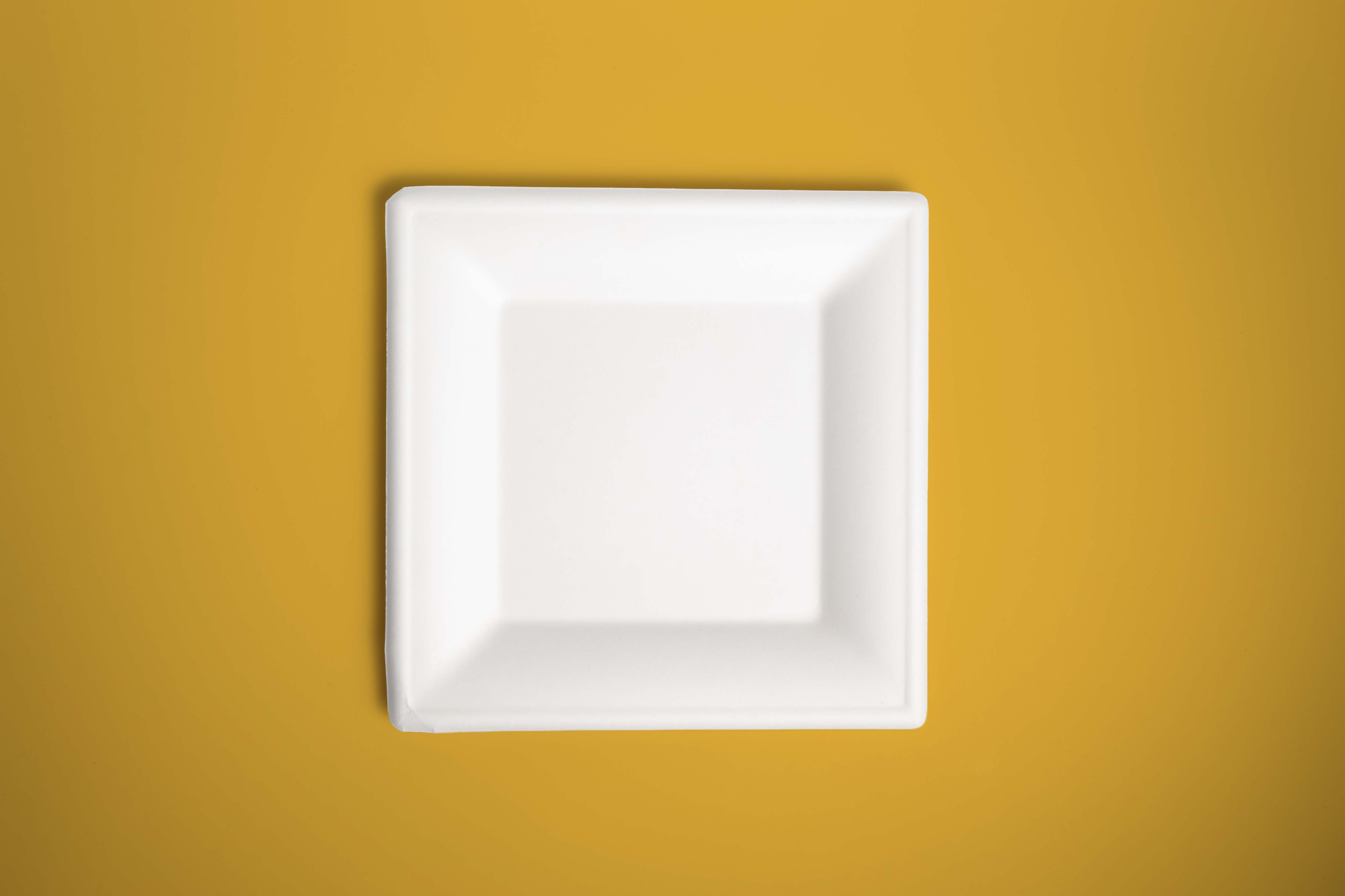 Plato Desechable Biodegradable Cuadrado 8"